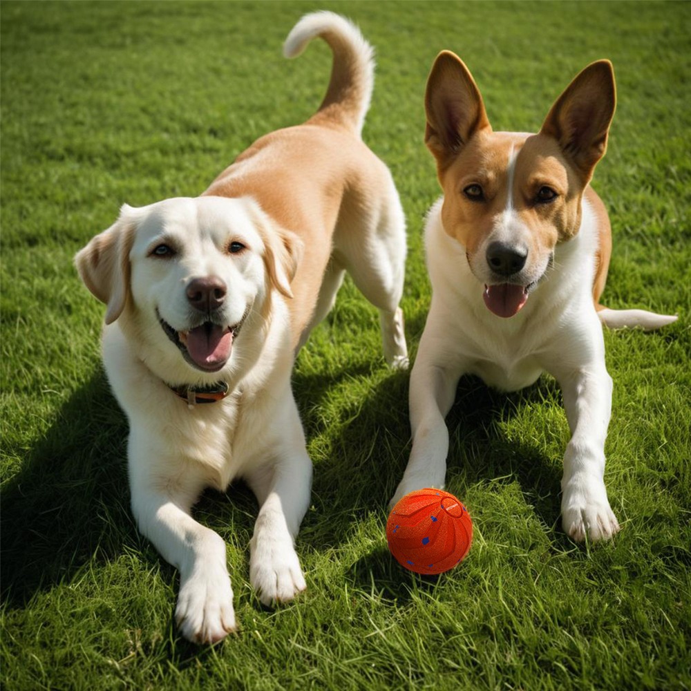 Automatic Moving Dog Ball - Bola inteligente para cães, resistente a