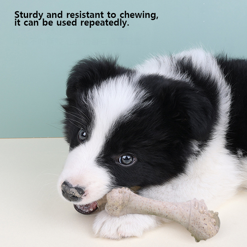 Brinquedos para animais de est - Teeth Cleaning Dog Chew Bone avaliação e preço