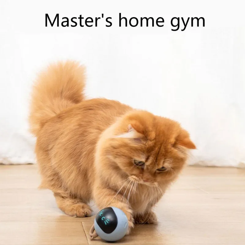 Brinquedo interativo de bola d - Automatic Moving Dog Ball avaliação e preço